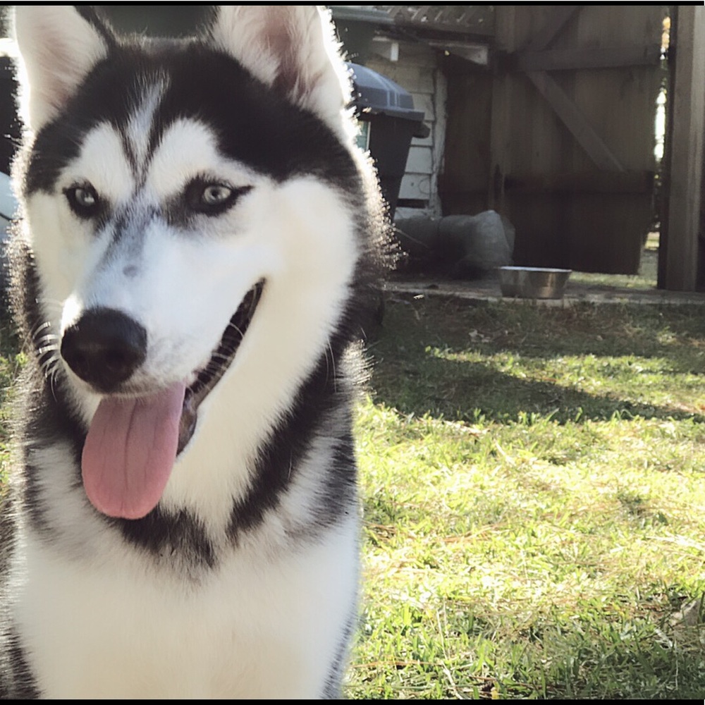 Meet your Posher, Tiffany